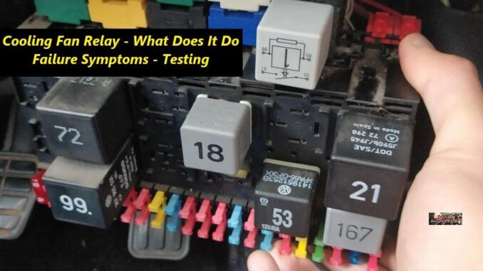 Cooling Fan Relay in Car Electrical