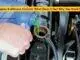 Engine Antifreeze Coolant: What Does It Do?, Why You Need It?