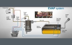 Evaporative Emission Control System (EVAP)