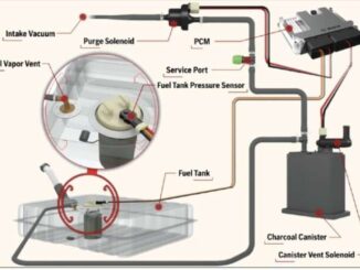 (EVAP) Evaporative Emission System - Function - Failure - Testing