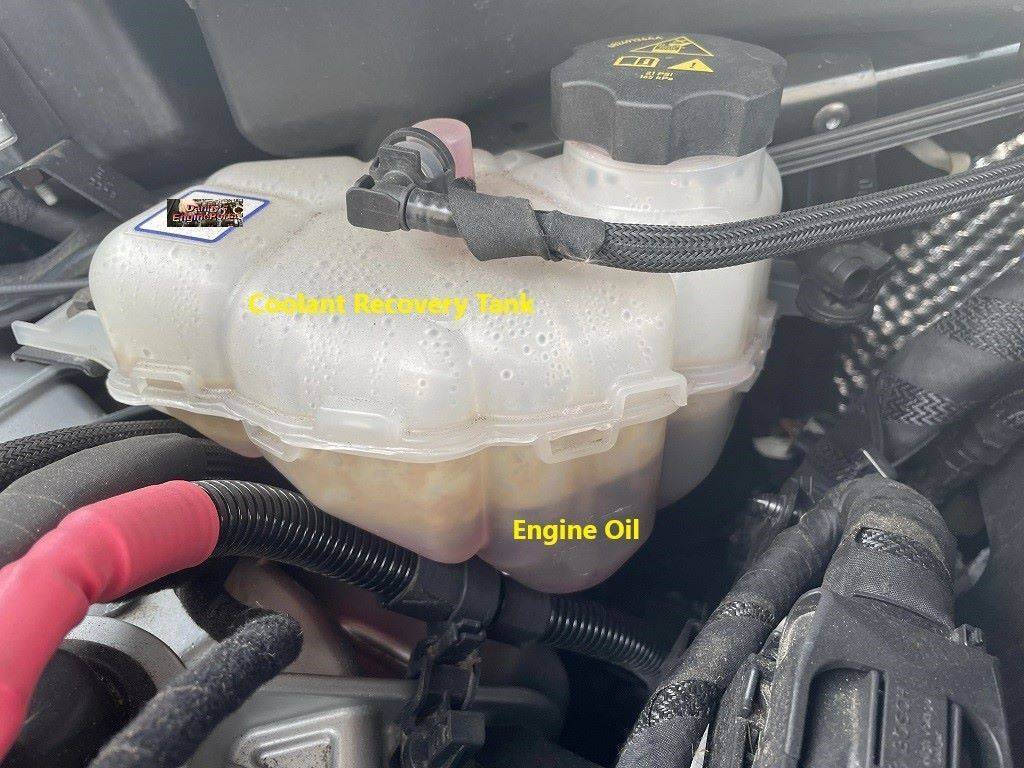 Leaking Head Gasket Causes and Symptoms Explained