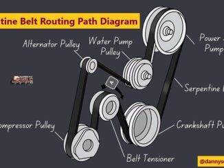 Serpentine Belt Routing Path Diagram