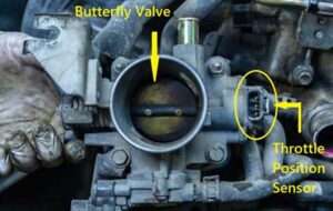 Throttle Position Sensor (TPS)