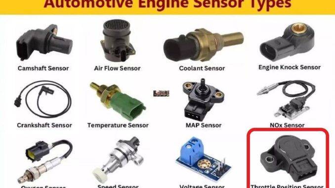 Throttle Position Sensor (TPS): Updates The (ECM) About Air Flow