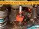 Valve Stem Seal Failure Follow The Symptoms and Conditions