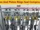 Valves And Piston Rings Seal Compression